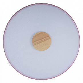 Накладной светильник Loft it Axel 2 10003/24 Pink