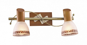 Спот Odeon Light Vario 1970/2W