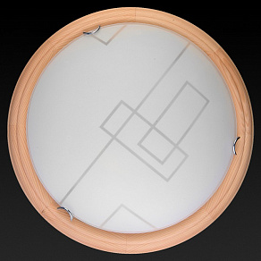 Накладной светильник TopLight Debora TL9540Y-00PN