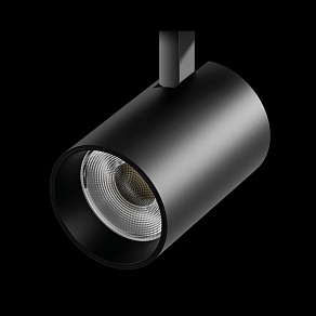 Светильник на штанге Lightstar Fuoco LED 215447