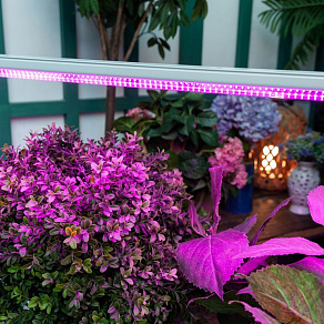 Светильник для растений Uniel ULI-P21 UL-00002993