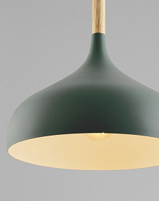 Подвесной светильник Moderli Eline V1296-1P