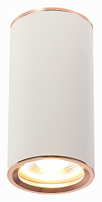 Накладной светильник ST-Luce Chomus ST111.527.01