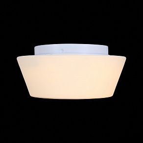 Накладной светильник ST-Luce Adatto SL296.502.02