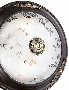 Накладной светильник Odeon Light Corbea 2671/2C