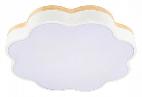 Накладной светильник Loft it Axel 10225/36 White