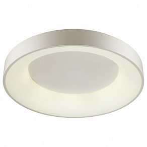 Накладной светильник Odeon Light Sole 4062/80CL