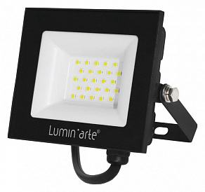 Настенно-потолочный прожектор Luminarte LFL-30W LFL-30W/06