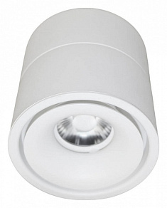 Накладной светильник LUMINA DECO Westos LDC 8056-12W WT