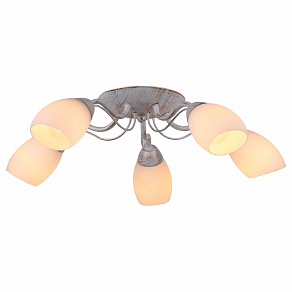 Потолочная люстра Arte Lamp Carlo A8105PL-5WG