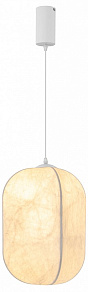 Подвесной светильник Arlight SETA 056883