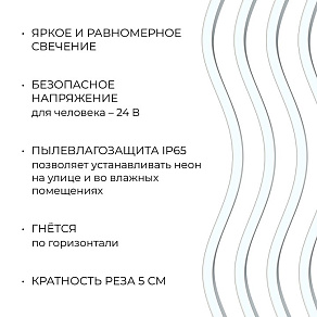 Шнур световой Apeyron Electrics  17-309