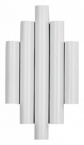 Накладной светильник Favourite Tubulis 4126-2W