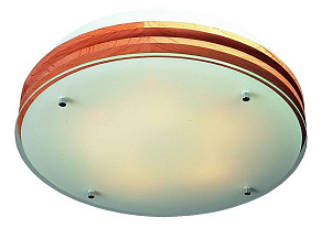 Накладной светильник Omnilux OM-403 OML-40317-05