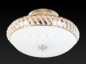Светильник на штанге TopLight Loreen TL1490Y-03GC