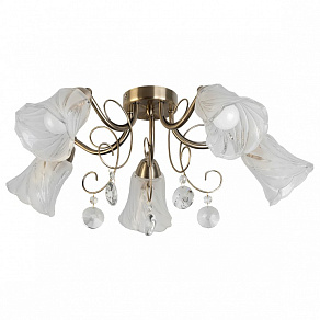 Потолочная люстра TopLight Charla TL7100X-05AB