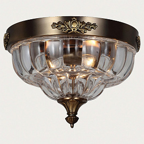Накладной светильник Favourite Amely 1306-2C