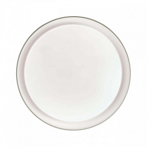 Накладной светильник Sonex Bionic 3030/DL