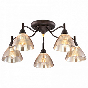 Потолочная люстра Odeon Light Treves 2625/5C