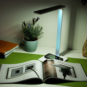 Настольная лампа офисная Elektrostandard Lori a039564