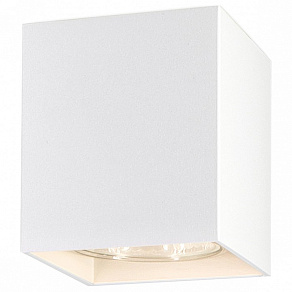 Накладной светильник Ambrella TN TN213139