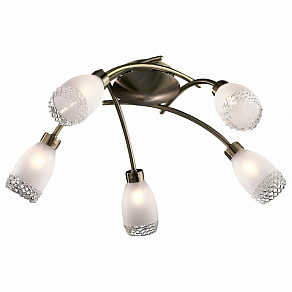 Потолочная люстра Odeon Light Lerta 1803/5C