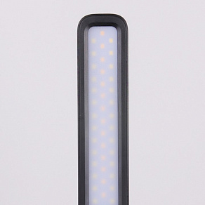 Настольная лампа офисная Elektrostandard Pele a044006