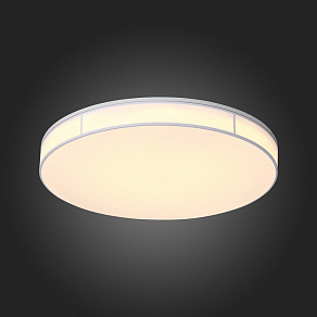 Накладной светильник ST-Luce Fella SL417.512.01