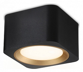 Накладной светильник Ambrella TN TN70832