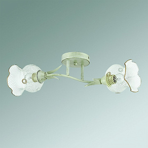 Светильник на штанге Lumion Rozetta 3108/2C