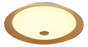 Накладной светильник Maytoni Euler CL815-PT42-G