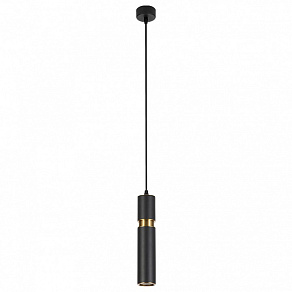 Подвесной светильник Arte Lamp Ran A3145SP-1BK