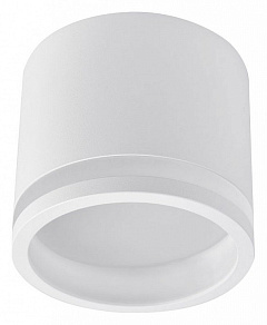 Накладной светильник Favourite Festum 4213-1C