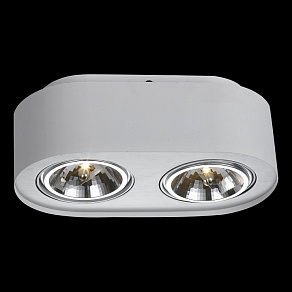 Накладной светильник Arte Lamp Cliff A5643PL-2WH