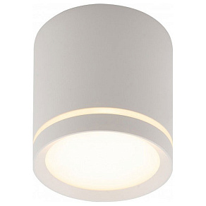 Накладной светильник Denkirs DK401 DK4016-WH