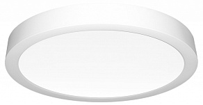 Накладной светильник Citilux Галс CL5522N