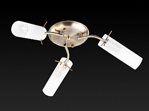 Потолочная люстра TopLight Brittany TL7130X-03AB