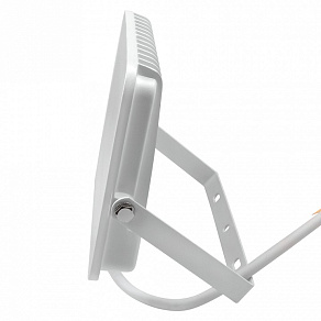 Настенно-потолочный прожектор Jazzway  PFL-30W RGB WH IP65