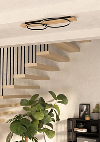 Накладной светильник Eglo BOYAL 901716