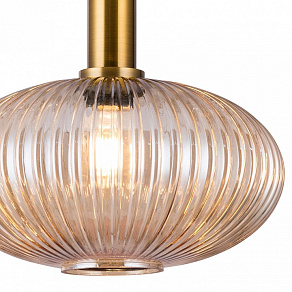 Подвесной светильник TopLight Pamella TL1224H-01AM