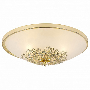 Накладной светильник Arte Lamp Collinetta A9116PL-2GO