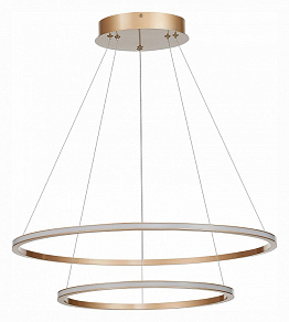 Подвесной светильник ST-Luce ST604 OUT ST604.243.56