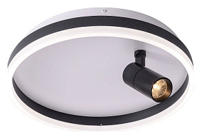 Накладной светильник Zortes Raizy ZRS.1888.03