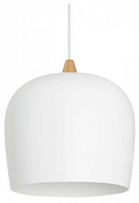 Подвесной светильник Arlight PEONY 39547