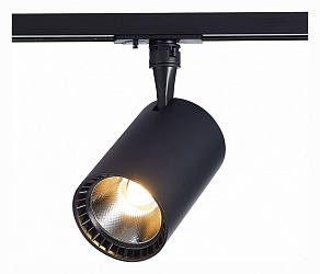 Светильник на штанге ST-Luce Cami ST351.446.20.36