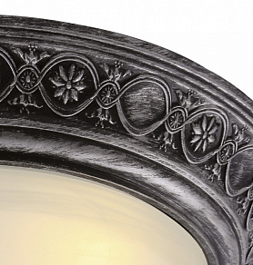 Накладной светильник Arte Lamp Piatti A8009PL-2SB