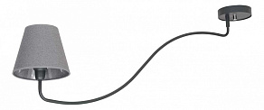 Светильник на штанге Nowodvorski Swivel Graphite 6550