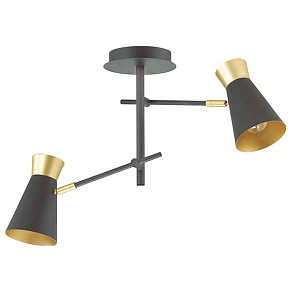 Светильник на штанге Lumion Liam 3790/2C