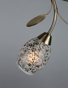 Люстра на штанге Omnilux OML-389 OML-38907-06