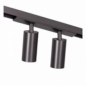 Светильник на штанге Lucide Linial 55901/16/08